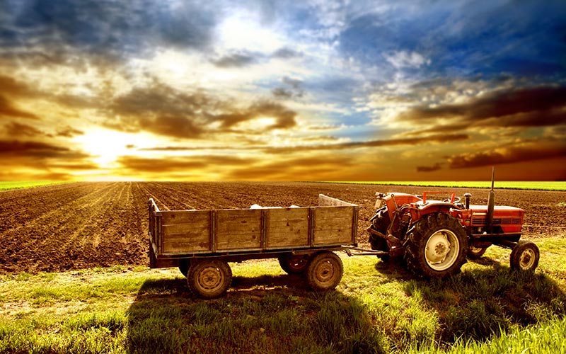 Farm and Ranch Insurance in ND