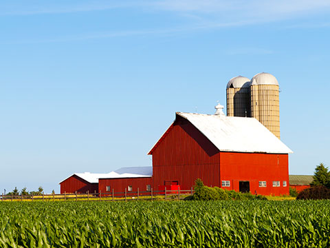 Agriculture Insurance in Valley City, ND