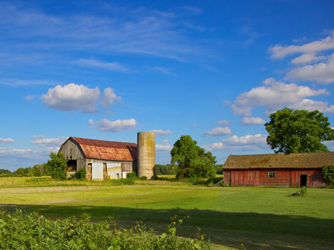 Agriculture Insurance in Grand Forks