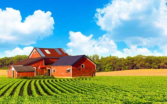 Farm Insurance in Jamestown, West Fargo, Devils Lake, ND, Fargo, ND